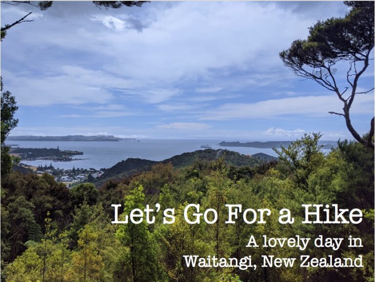 Let’s Go For a Hike: A Lovely Day in Waitangi, New Zealand