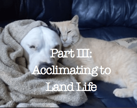 Part III: Acclimating to Land Life
