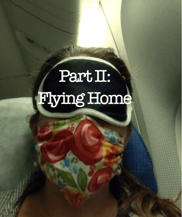 Part II: Flying Home