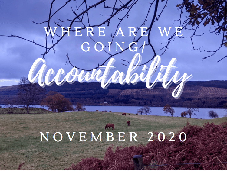 Where Are We Going/Accountability: November 2020