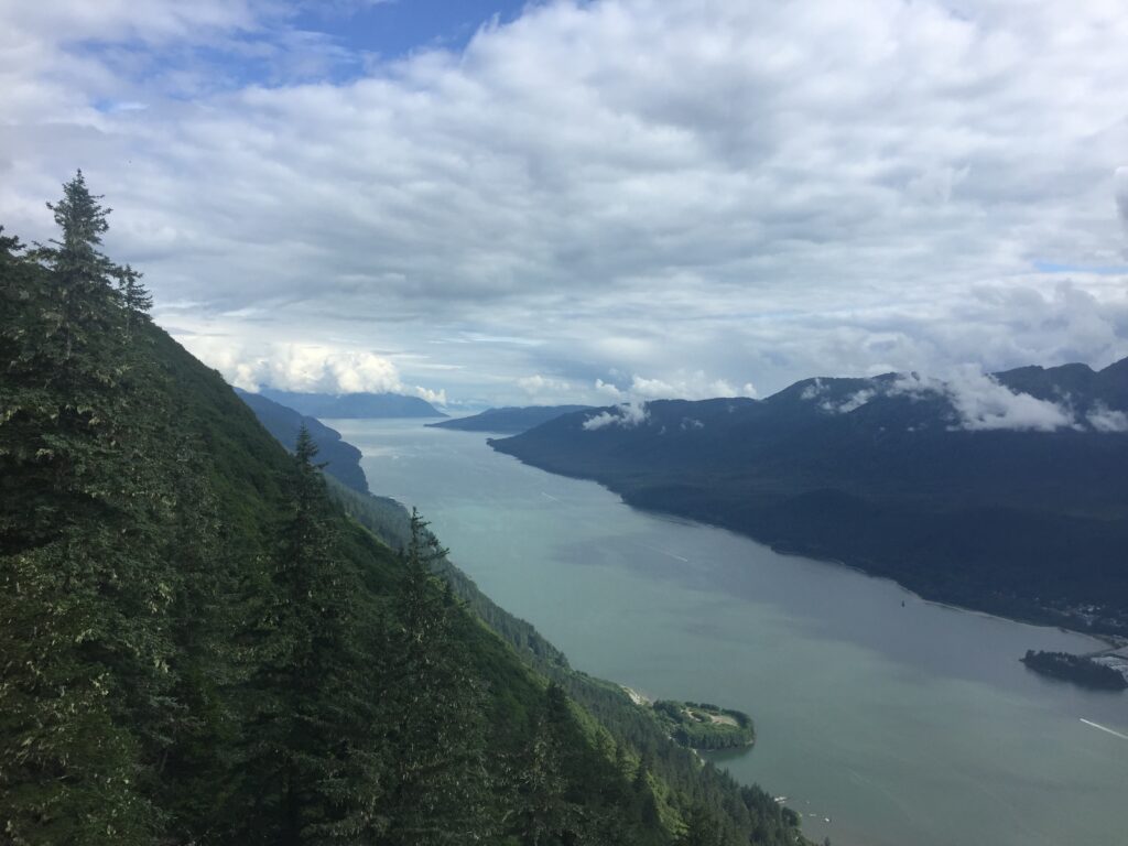 view from mount roberts