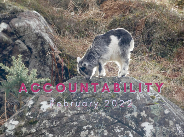 Accountability: February 2022