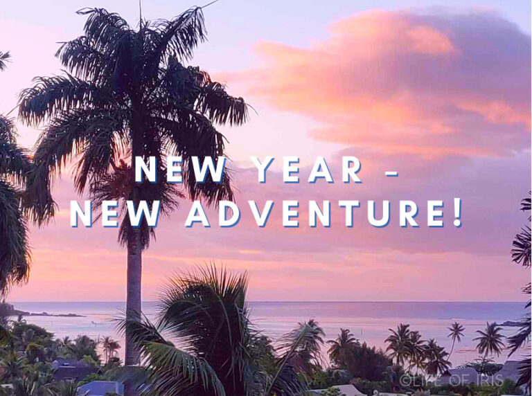New Year, New Adventure!