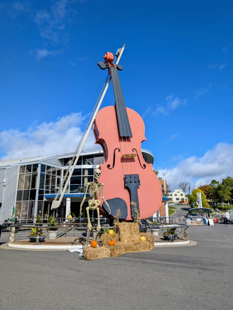 fiddle in sydney Nova Scotia before Halloween